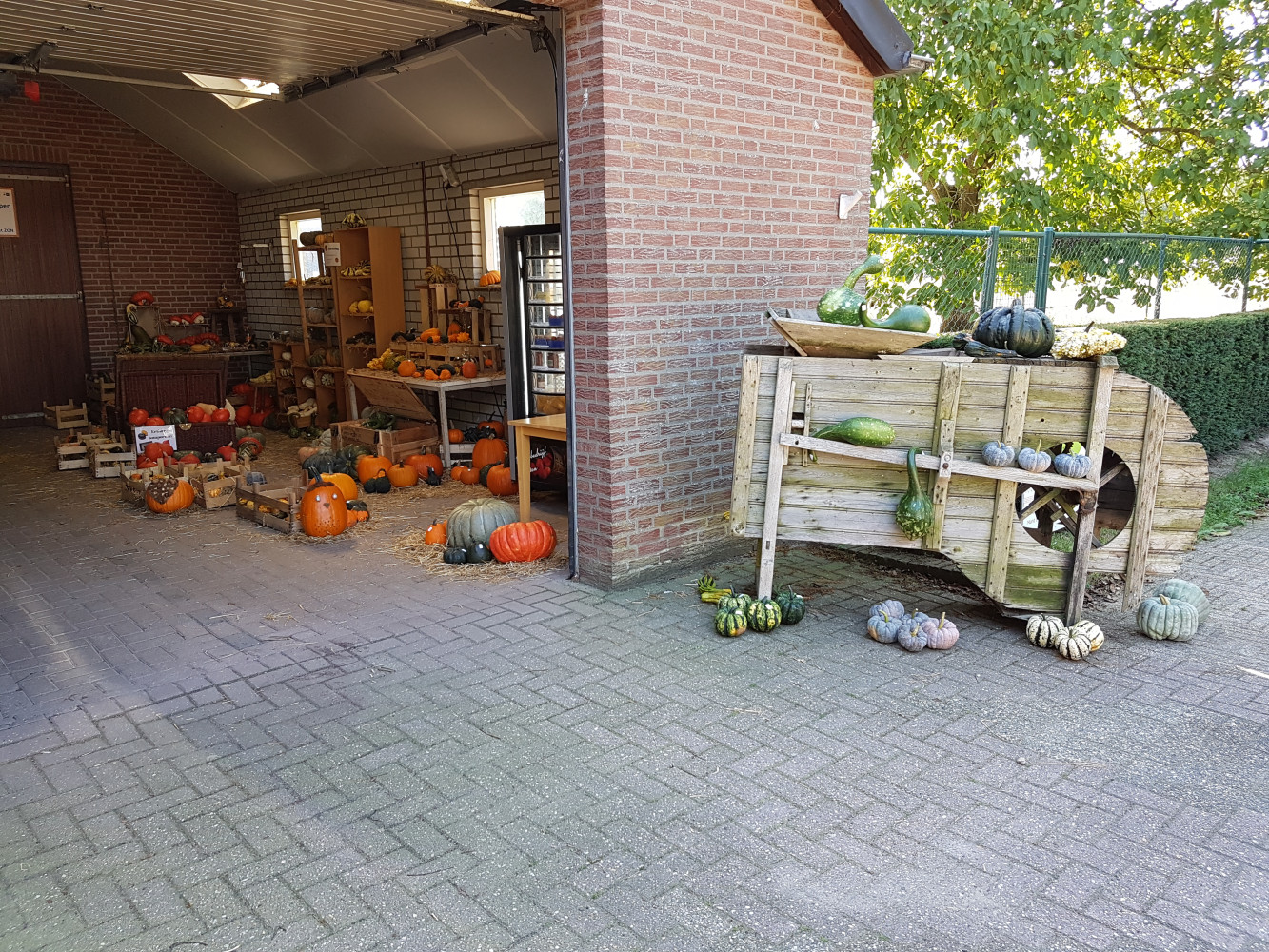 Hoofdafbeelding van Tuinbouwbedrijf Bonten