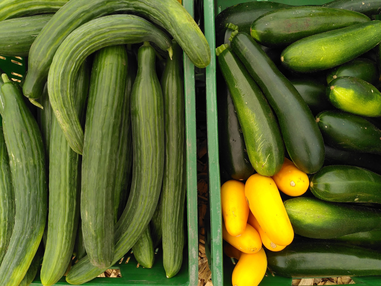 Hoofdafbeelding van Tuinderij Land in Zicht