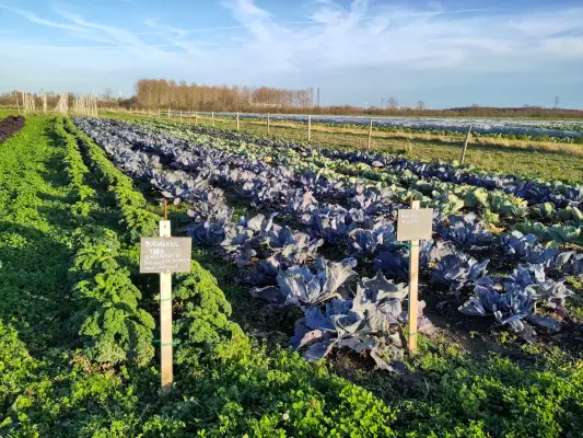 Afbeelding Biologische tuinderij Plantalia