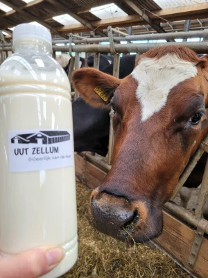 Productfoto Verse melk van eigen melkkoeien