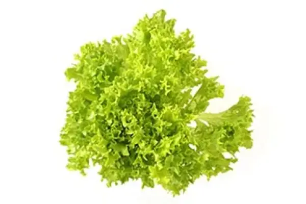Productfoto Krulsla
