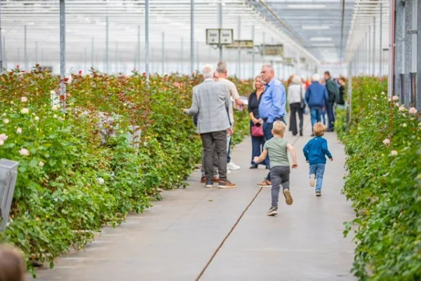Kom in de Kas Limburg Meterik America