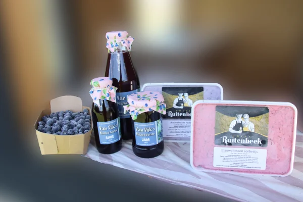 Productfoto Blauwe bessen roomijs
