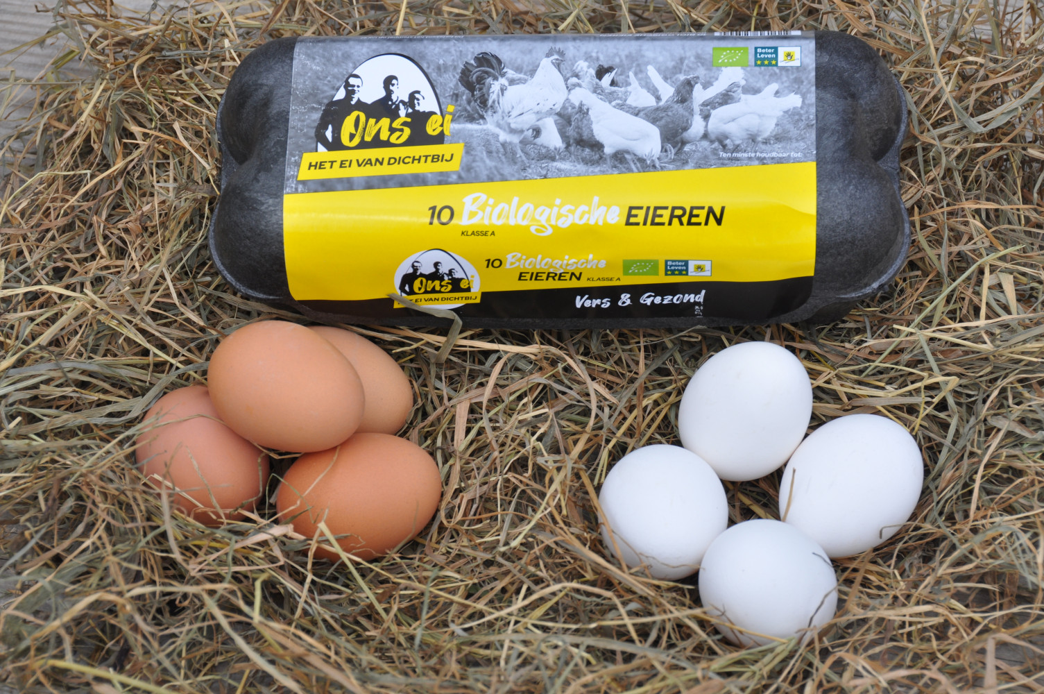 Hoofdafbeelding van Pluimveebedrijf Van Mourik -  Ons ei, het ei van dichtbij