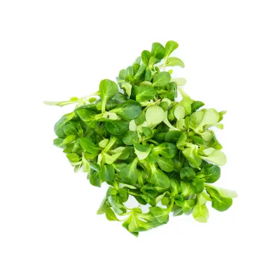 Productfoto Veldsla