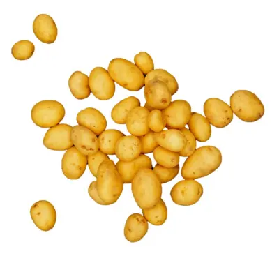 Productfoto Krieltjes vers, 250 gram