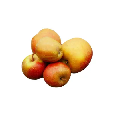 Productfoto Appels Goudreinet 1 kg