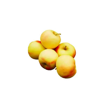 Productfoto Appels Elstar licht gekleurd, 2 kg