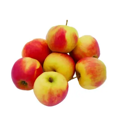 Productfoto Appels Elstar klein 1 kg