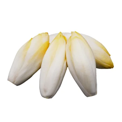 Productfoto Hollandse Witlof