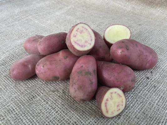Productfoto Roseval, zak 2,5 kilo