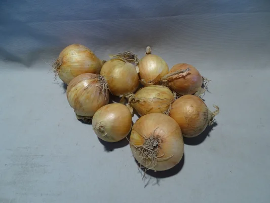 Productfoto Uien 2 kilo