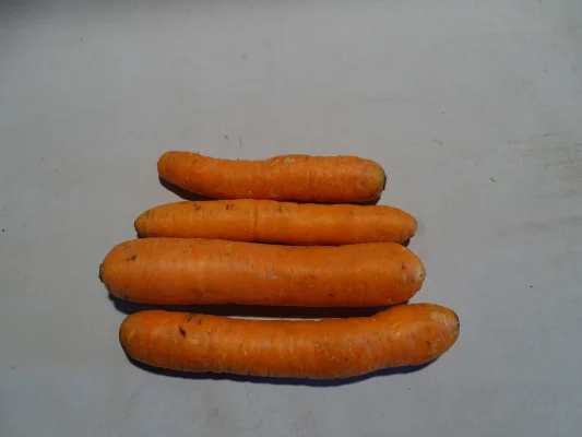 Productfoto Wortelen 1 kilo