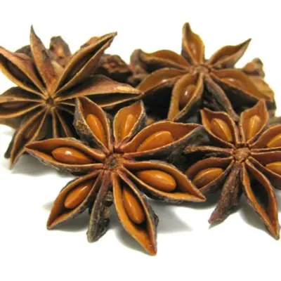 Productfoto Steranijs  zakje per 100 gram