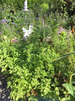 Productfoto Mix van munt 10 gram