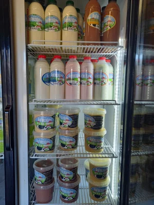 Productfoto Gele vla met stukjes vanille