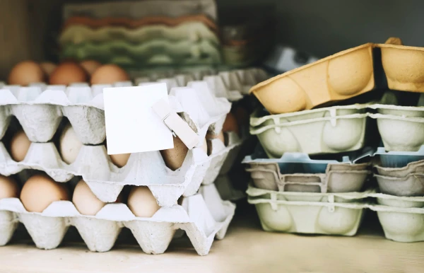 Productfoto Biologische eieren 10 stuks (op bestelling leverbaar)