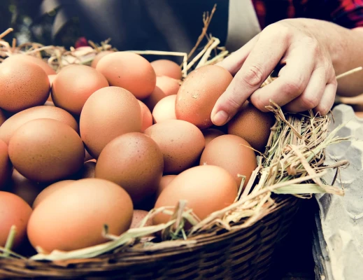 Productfoto Heerlijke verse eieren van de boer. Eieren zijn per 10 stuks verpakt in stevig doosje, altijd vers. De hoogste kwaliteit!